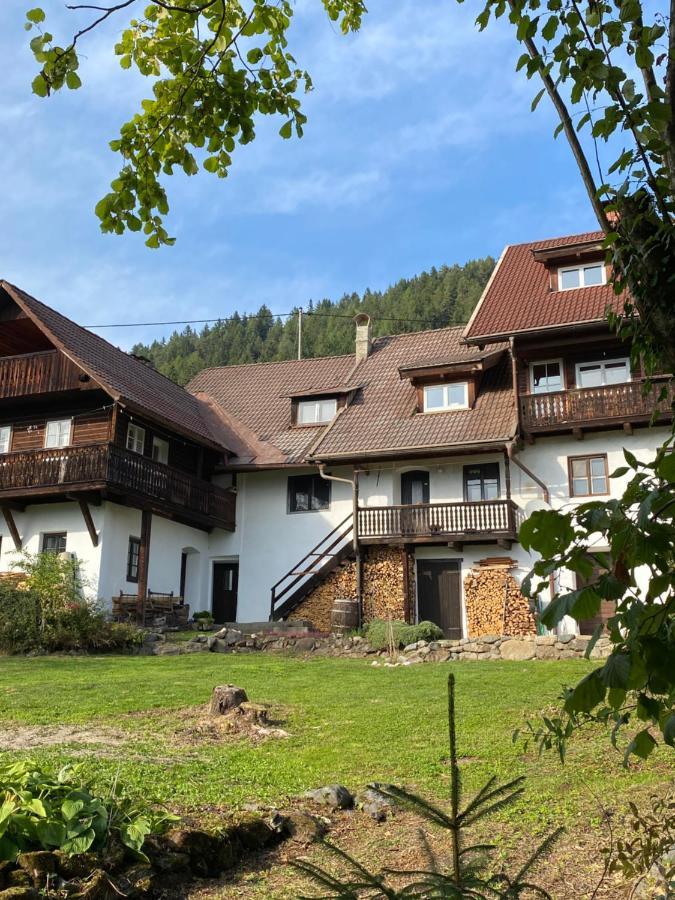 Gailtal Appartements Naehe Skigebiet Wertschach المظهر الخارجي الصورة